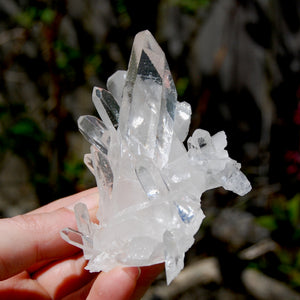 Cosmic Grounding Lemurian Silver Quartz Crystal Starbrary Cluster Optical Corinto, Brazil