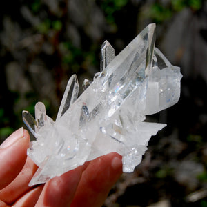 Cosmic Grounding Lemurian Silver Quartz Crystal Starbrary Cluster Optical Corinto, Brazil