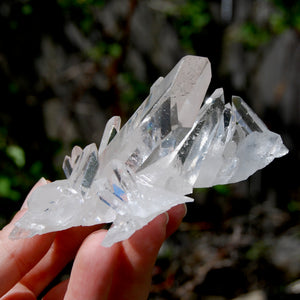 Cosmic Grounding Lemurian Silver Quartz Crystal Starbrary Cluster Optical Corinto, Brazil