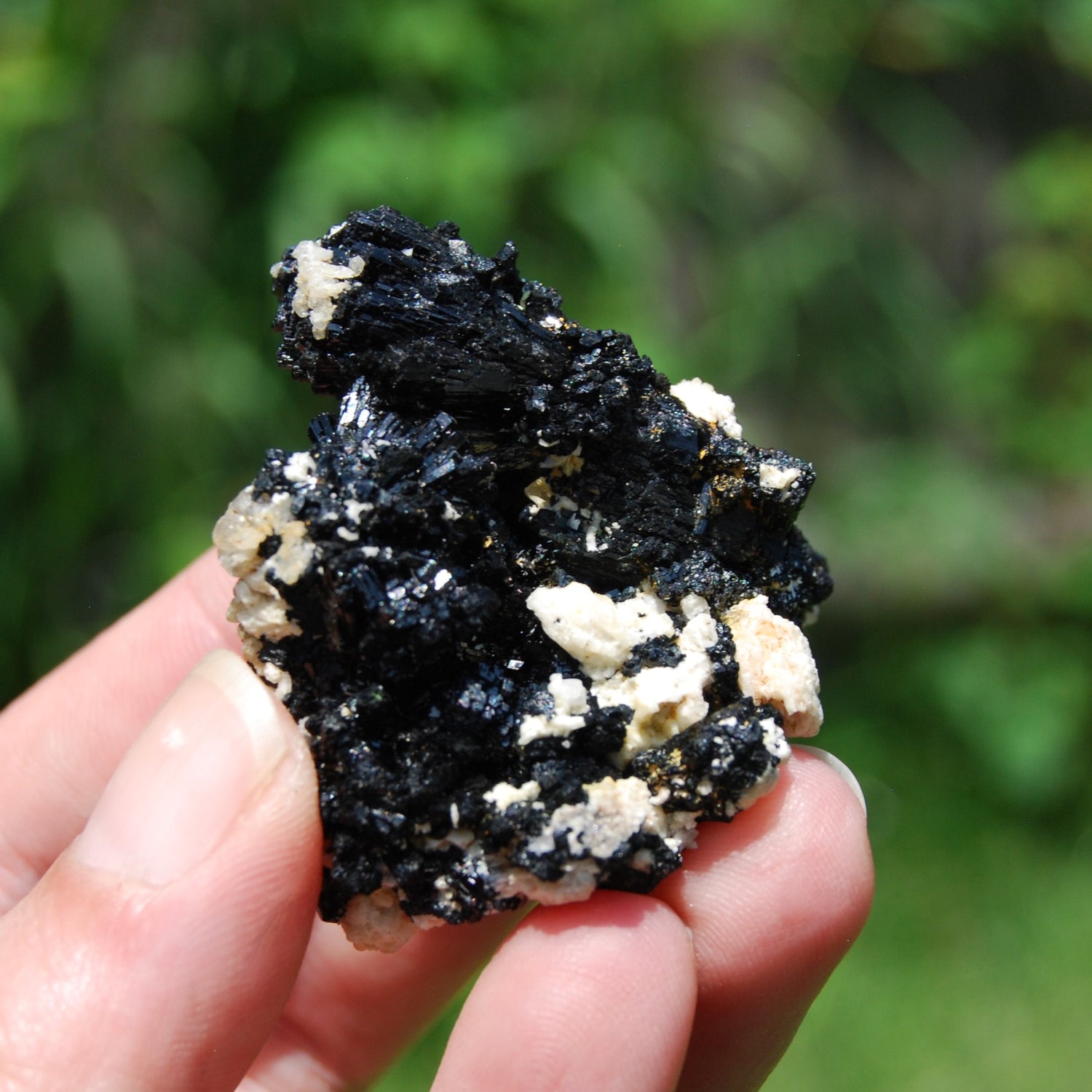 Raw Black Tourmaline Crystal Flower Cluster Floater, Erongo, Namibia