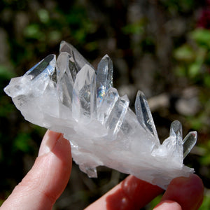 Cosmic Grounding Lemurian Silver Quartz Crystal Starbrary Cluster Optical Corinto, Brazil