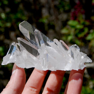 Cosmic Grounding Lemurian Silver Quartz Crystal Starbrary Cluster Optical Corinto, Brazil