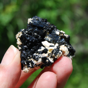 Raw Black Tourmaline Crystal Flower Cluster Floater, Erongo, Namibia