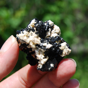 Raw Black Tourmaline Crystal Flower Cluster Floater, Erongo, Namibia