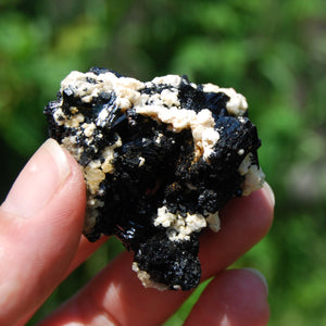 Raw Black Tourmaline Crystal Flower Cluster Floater, Erongo, Namibia