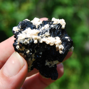 Raw Black Tourmaline Crystal Flower Cluster Floater, Erongo, Namibia