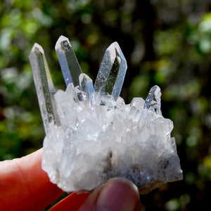 Cosmic Dow Channeler Lemurian Silver Quartz Crystal Starbrary Cluster Optical Corinto, Brazil