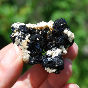 Raw Black Tourmaline Crystal Flower Cluster Floater, Erongo, Namibia