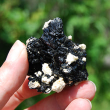 Load image into Gallery viewer, Raw Black Tourmaline Crystal Flower Cluster Floater, Erongo, Namibia
