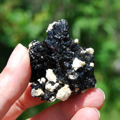 Raw Black Tourmaline Crystal Flower Cluster Floater, Erongo, Namibia