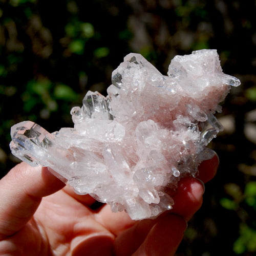 Pink Faden Quartz Lemurian Crystal Cluster, Colombia