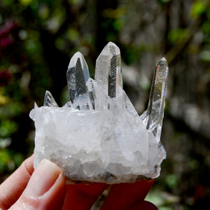 Cosmic Dow Channeler Lemurian Silver Quartz Crystal Starbrary Cluster Optical Corinto, Brazil