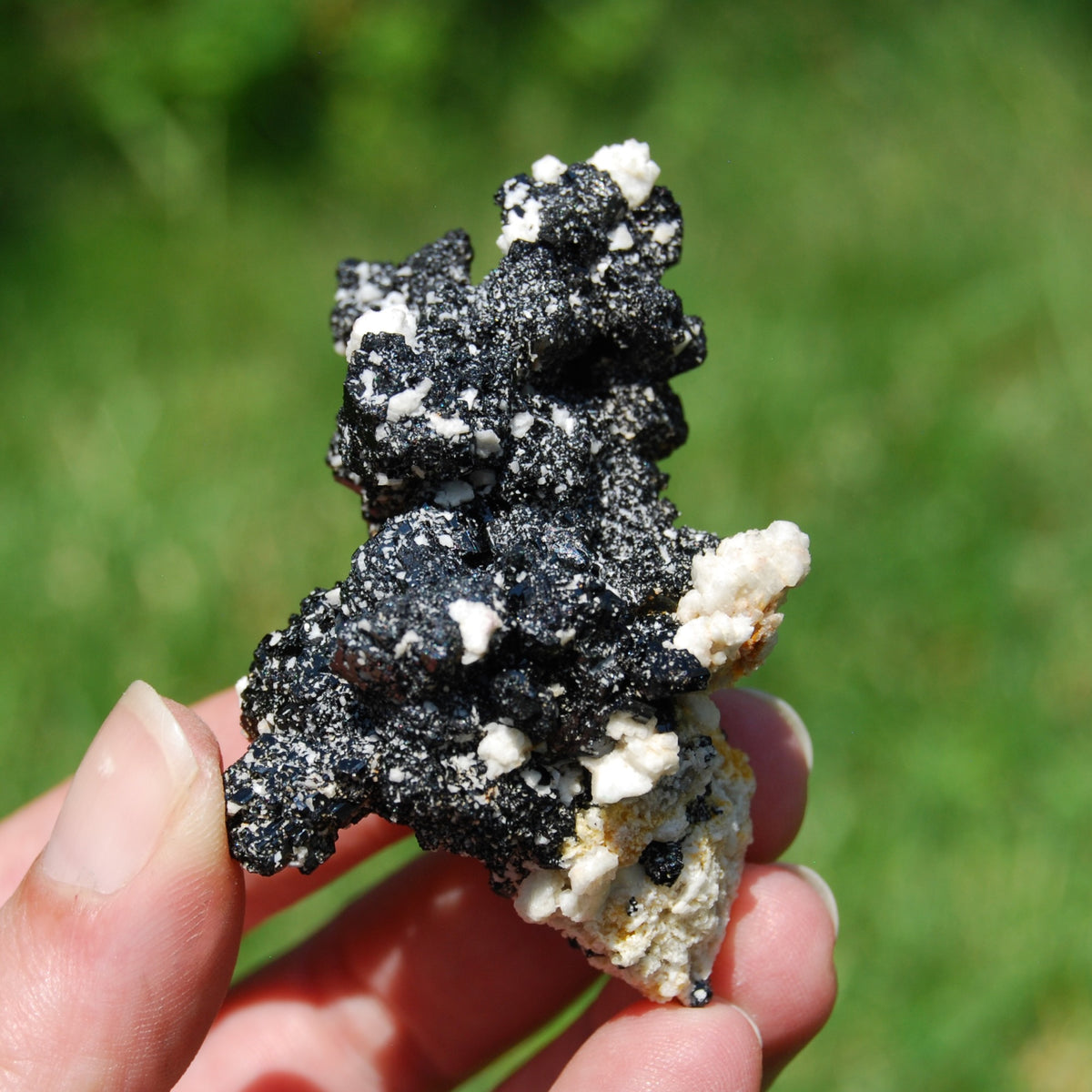 Black Tourmaline Crystal Flower Cluster Floater, Erongo, Namibia