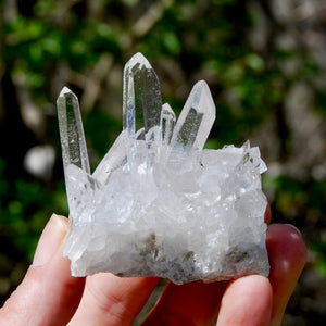 Cosmic Dow Channeler Lemurian Silver Quartz Crystal Starbrary Cluster Optical Corinto, Brazil