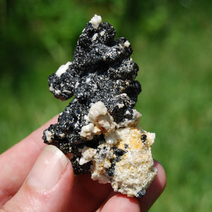 Black Tourmaline Crystal Flower Cluster Floater, Erongo, Namibia