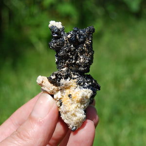 Black Tourmaline Crystal Flower Cluster Floater, Erongo, Namibia