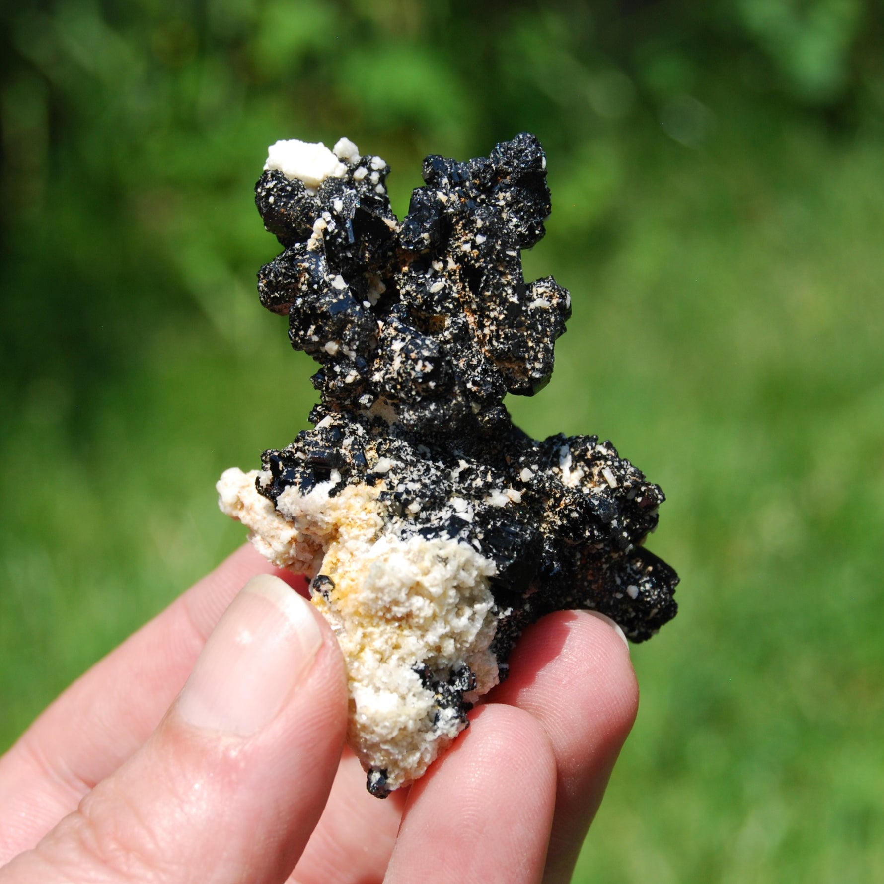Black Tourmaline Crystal Flower Cluster Floater, Erongo, Namibia