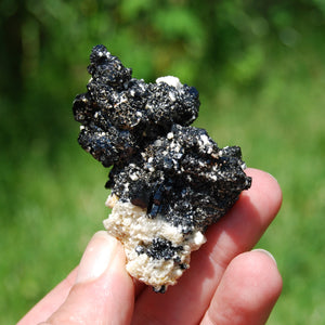 Black Tourmaline Crystal Flower Cluster Floater, Erongo, Namibia