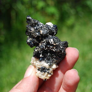 Black Tourmaline Crystal Flower Cluster Floater, Erongo, Namibia