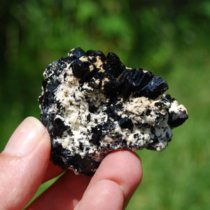 Tourmaline Crystal Flower Cluster Floater, Erongo, Namibia