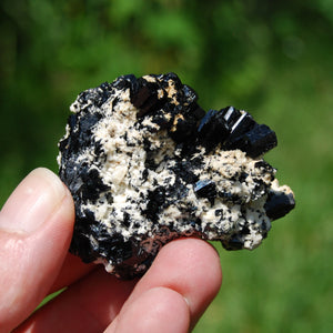 Tourmaline Crystal Flower Cluster Floater, Erongo, Namibia