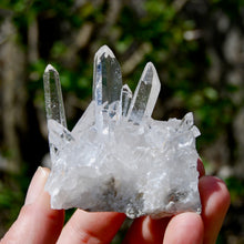 Load image into Gallery viewer, Cosmic Dow Channeler Lemurian Silver Quartz Crystal Starbrary Cluster Optical Corinto, Brazil
