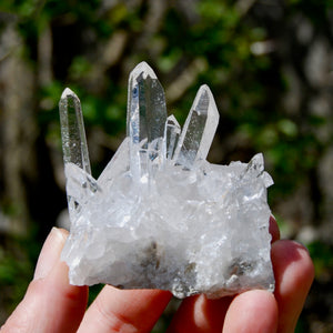 Cosmic Dow Channeler Lemurian Silver Quartz Crystal Starbrary Cluster Optical Corinto, Brazil