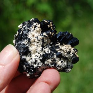 Tourmaline Crystal Flower Cluster Floater, Erongo, Namibia