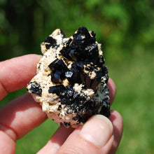 Load image into Gallery viewer, Tourmaline Crystal Flower Cluster Floater, Erongo, Namibia
