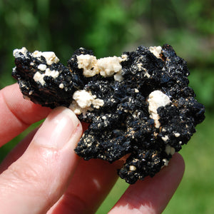 Black Tourmaline Crystal Flower Cluster Floater, Erongo, Namibia