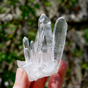 Cosmic Isis Face Channeler Lemurian Silver Quartz Crystal Starbrary Cluster Record Keepers Optical Corinto, BrazilCosmic Isis Face Channeler Lemurian Silver Quartz Crystal Starbrary Cluster Record Keepers Optical Corinto, Brazil