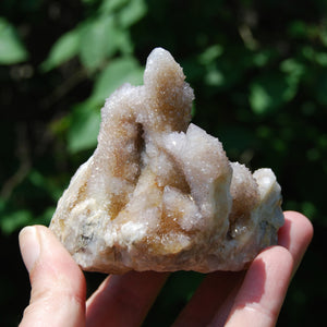 Ametrine Spirit Quartz Crystal Cluster