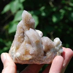 Ametrine Spirit Quartz Crystal Cluster