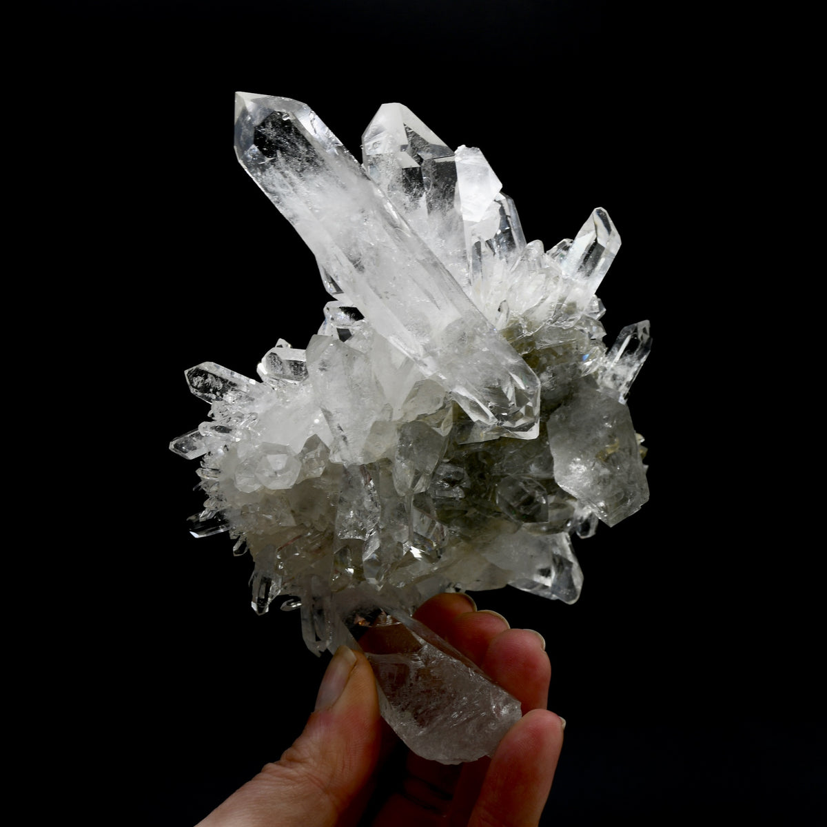 Cosmic Starburst Record Keeper Lemurian Silver Quartz Chlorite Crystal Cluster Starbrary Optical Corinto, Brazil