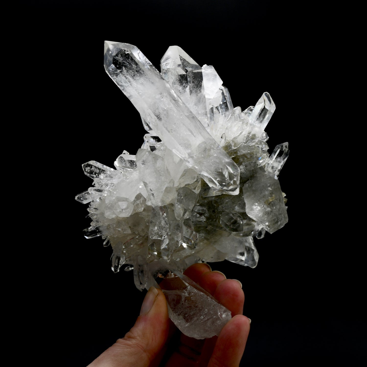 Cosmic Starburst Record Keeper Lemurian Silver Quartz Chlorite Crystal Cluster Starbrary Optical Corinto, Brazil