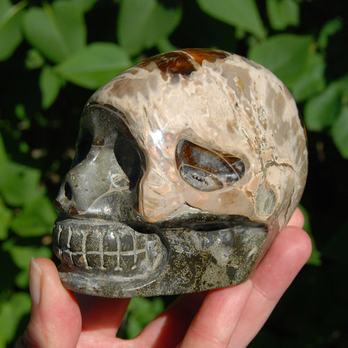 Iridescent Ammonite Hand Carved Crystal Skull