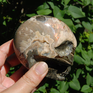 Iridescent Ammonite Hand Carved Crystal Skull