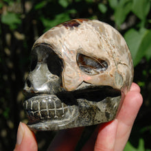 Load image into Gallery viewer, Iridescent Ammonite Hand Carved Crystal Skull
