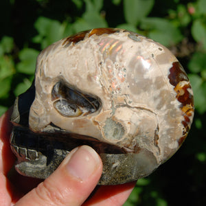 Iridescent Ammonite Hand Carved Crystal Skull