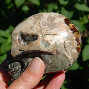 Iridescent Ammonite Hand Carved Crystal Skull