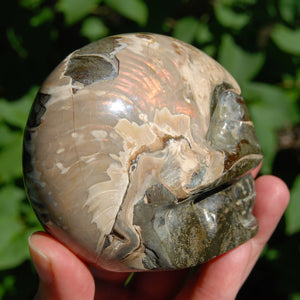 Iridescent Ammonite Hand Carved Crystal Skull