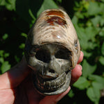 Iridescent Ammonite Hand Carved Crystal Skull
