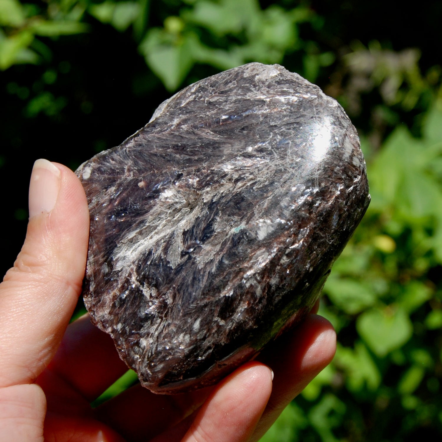 Gem Lepidolite Crystal Semi Polished Freeform