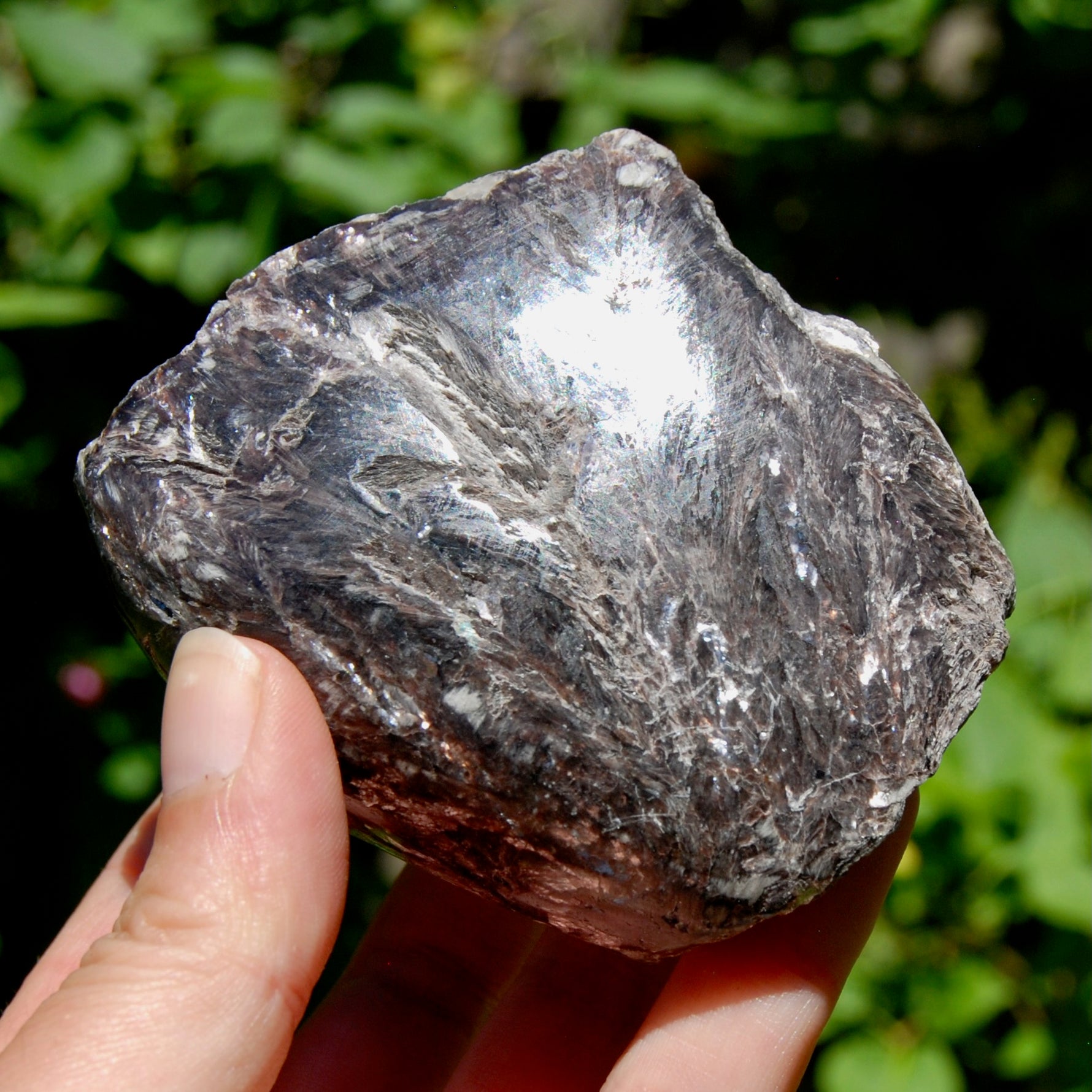 Gem Lepidolite Crystal Semi Polished Freeform