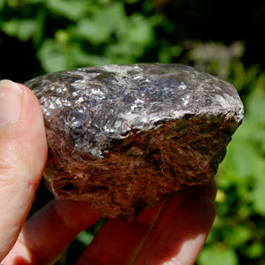 Gem Lepidolite Crystal Semi Polished Freeform