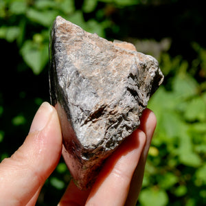 Gem Lepidolite Crystal Semi Polished Freeform