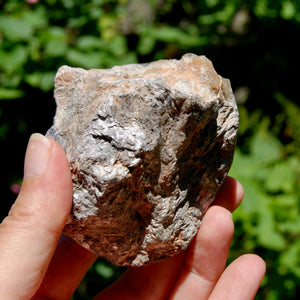 Gem Lepidolite Crystal Semi Polished Freeform