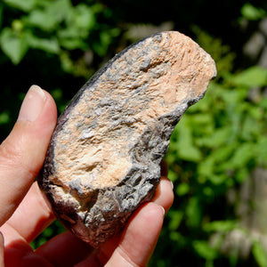 Large Flashy Gem Lepidolite Crystal Semi Polished Freeform