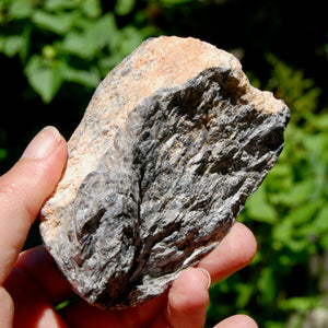 Large Flashy Gem Lepidolite Crystal Semi Polished Freeform