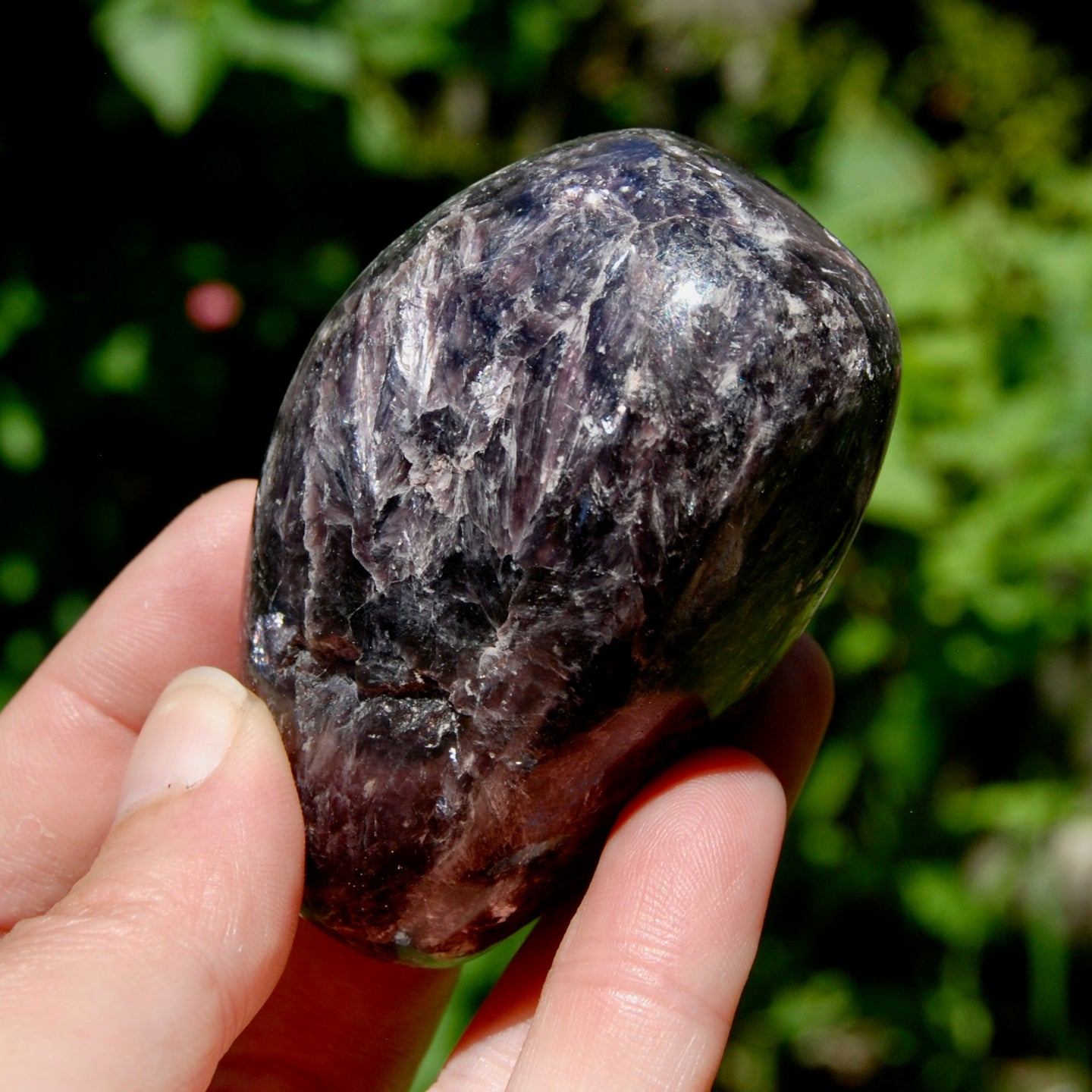 Flashy Gem Lepidolite Crystal Semi Polished Freeform